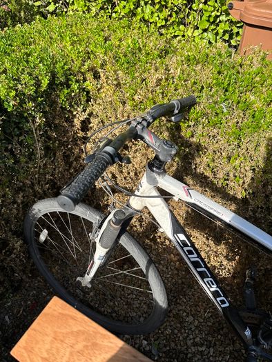 Carrera Road Bike