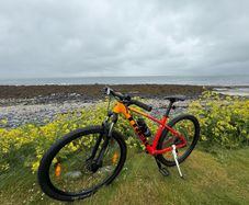 Trek Marlin 7