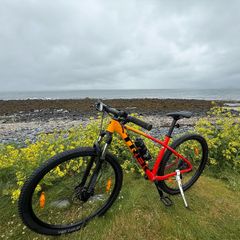 Trek Marlin 7