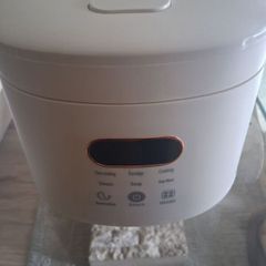 mini rice cooker