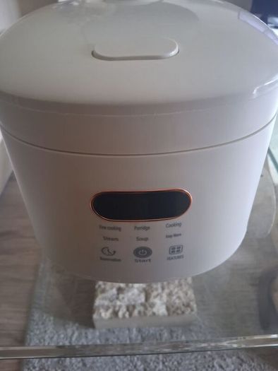 mini rice cooker