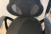 Ergonomic Office Chair