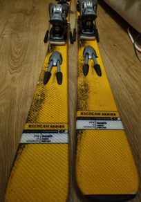 Salomon skis