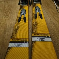 Salomon skis