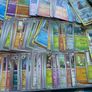Pokemon  holos reverse holos Image 2