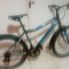 Sierra Mountain Bike.  (Like New)