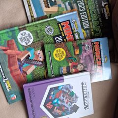 Minecraft books