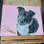 pet painting Image 4