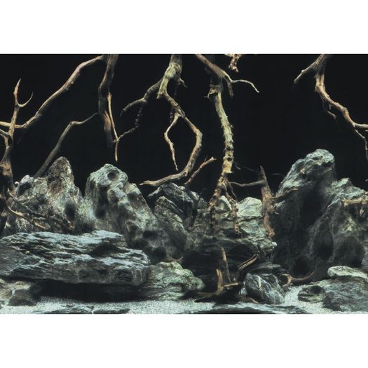 Tree roots/water background 60x30cm