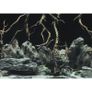 Tree roots/water background 60x30cm Image 3