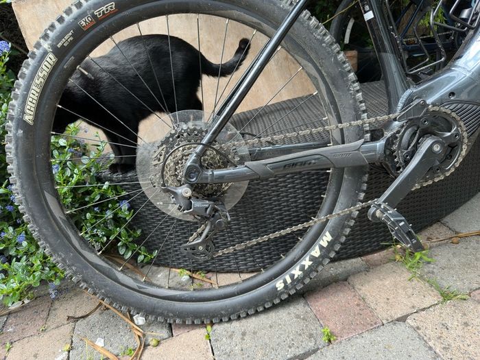 Giant fathom e+ pro 29 size L