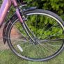 Apollo Elyse Women's Bike with Carrier Basket Image 2