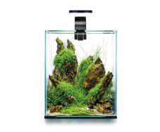 Aquael Shrimp Set Day&night 20l White