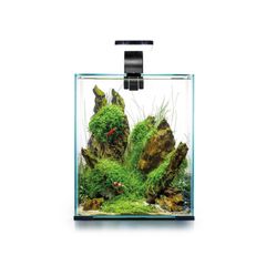Aquael Shrimp Set Day&night 20l White