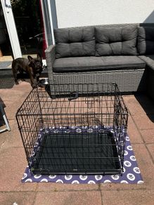 dog crate
