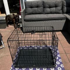 dog crate