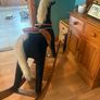 Childrens rocking horse Image 4
