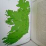 The Noble Dwellings of Ireland by John FitzMaurice Mills (PT240) Image 5