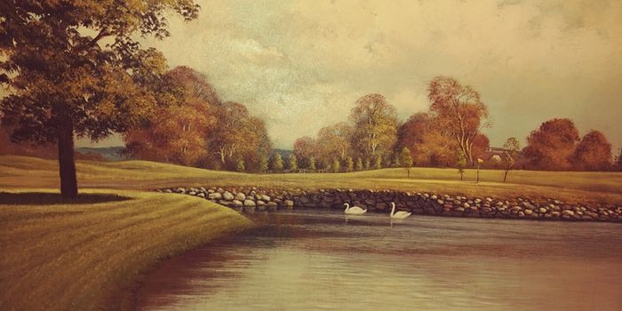 Beautiful original liam jones oil on canvas.