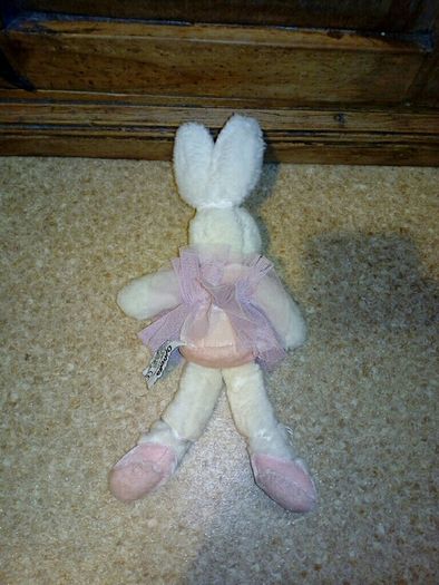 Bunny teddy