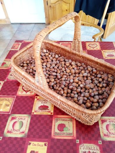 Hand made wicker basket