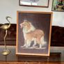Vintage Late Mid Century Unique Real Fur Collie Dog Framed Wall Art Rustic Decor Image 2