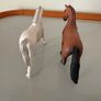 Pair of Schleich Horses from the Horse club collection Image 4
