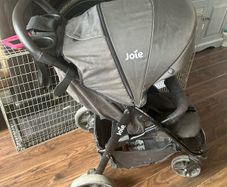 Joie Buggy