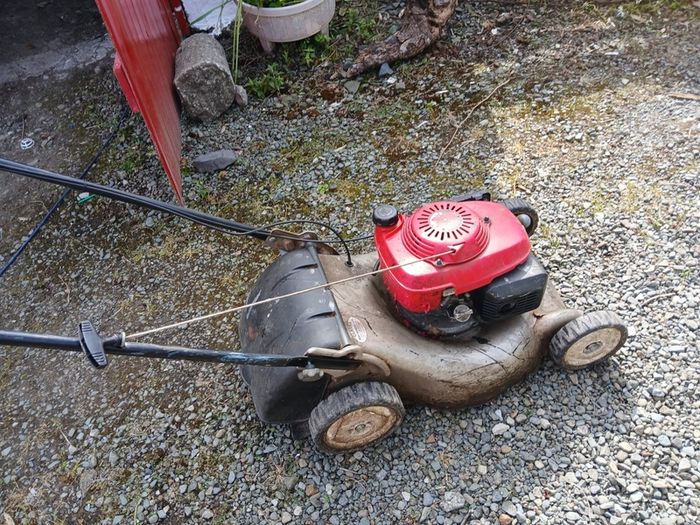 ride on and push mower