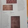 The Book Of Trees. Visualising Branches Of Knowledge. By Manuel Lima. Large Volume First Edition Hardback In Good Condition.  See Photos For Same. Image 10