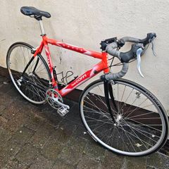 Fausto Coppi Gavia road bike 56cm