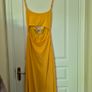 Meshki Mustard Yellow Dress Image 2