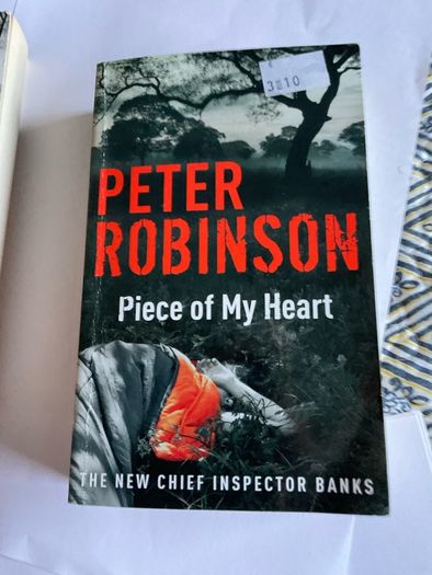 12 x Peter Robinson DCI BANKS crime series no 7 and 13 to 25 or individual