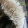 Zara SRPLS Bomber jacket immaculate new condition Image 9