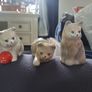 figurines x 3 kittens Image 2