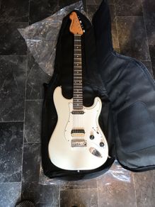 Electric Guitar case gig bag .