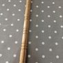 Walking Stick Image 2