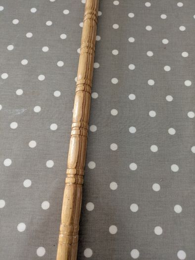 Walking Stick