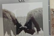 U2  CD  - The Best Of 1990-2000