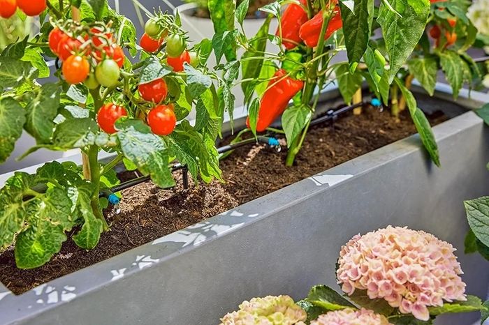Micro-Drip-System Drip Irrigation Set Terrace (30 plants): Starter set, ready to use, water-saving irrigation system, simple & flexible connection technology (13400-20)