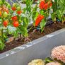 Micro-Drip-System Drip Irrigation Set Terrace (30 plants): Starter set, ready to use, water-saving irrigation system, simple & flexible connection technology (13400-20) Image 5