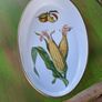 vintage royal Worcester dish Image 2