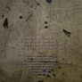 The Frames - Sideways Down. Single. Image 2