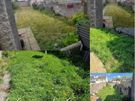 Gardening maintenance & pressure washing services Image 6