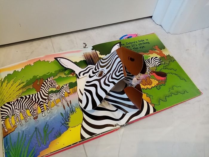 Pop Up Jungle book