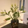 Otahiri  Vintage Japanese vase gorgeous Image 7