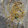 watering hose Image 2
