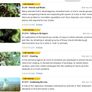 David Attenborough: Trials Of Life - The Complete Series DVD (2005) Image 10
