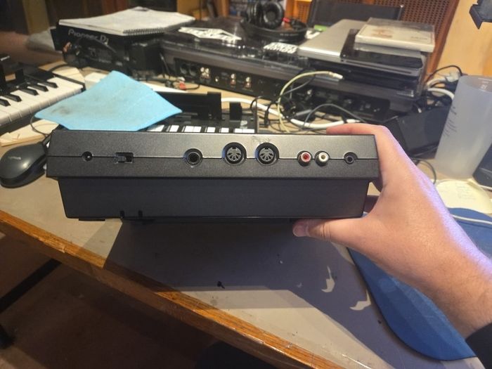 Roland Boss DR202