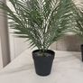 Artificial Plants Image 3